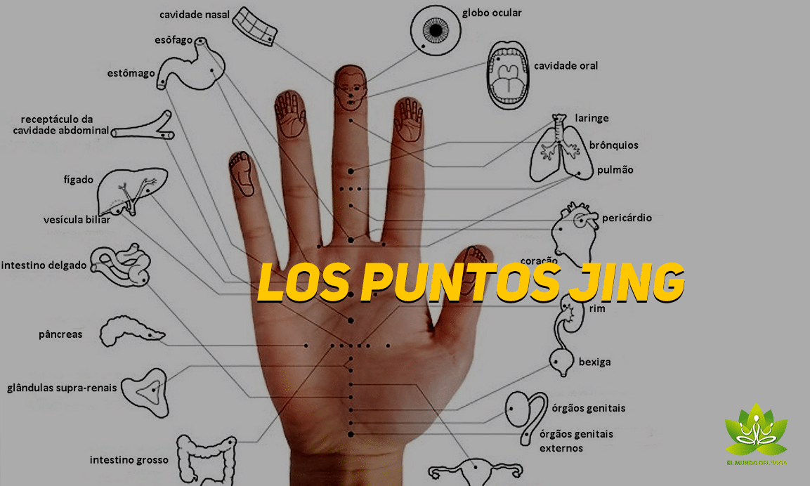 Los puntos Jing