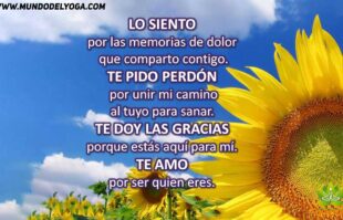 5 Pasos Para implementar La Técnica Ho’oponopono en tu vida diaria img