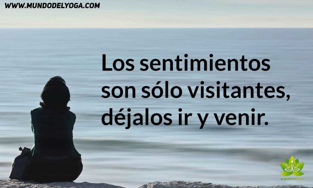 Liberando los Sentimientos atrapados en el Cuerpo