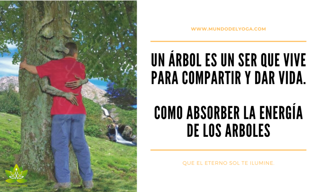 COMO ABSORBER LA ENERGÍA DE LOS ARBOLES